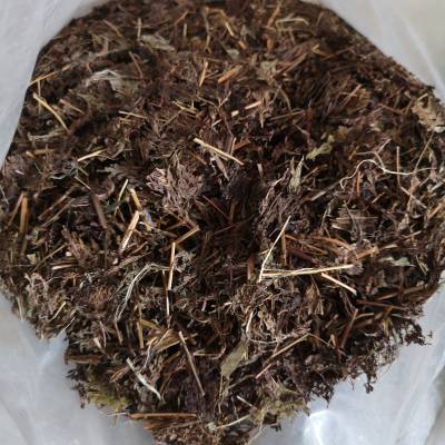 中药材老鸦嘴功效作用毛青才南苦参古羊藤奶藤马达红马连鞍虎阴藤鱼藤