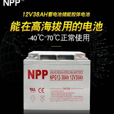 NP12-38 12V38AHʽǦUPSԴ/ֱ/