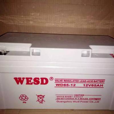 WESD***蓄电池 WD65-12 12V65AH直流屏UPS/EPS应急电源储能专用