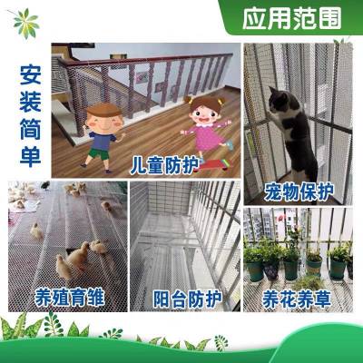 阳台塑料防猫网 养鸡漏粪网 育雏鸡笼网片