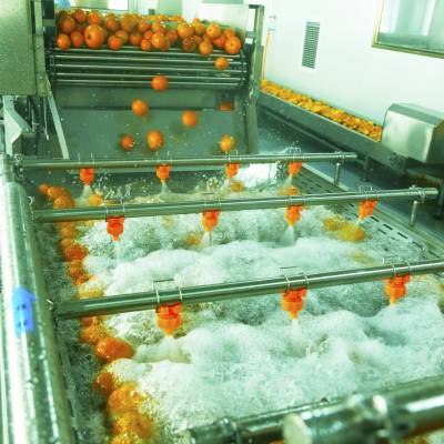 芒果加工设备 水果清洗机设备 果汁食品机械 水果加工成套流水线