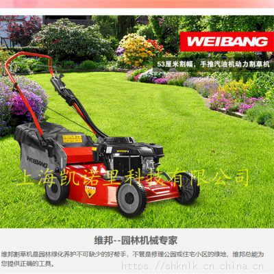 άweibang WB537HC ݻ 21Ƹֵ 1P70FA 196CCƺ