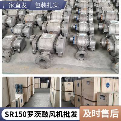 污水站曝气罗茨风机22kw 直连传动型罗茨鼓风机 石灰流化风机sr150