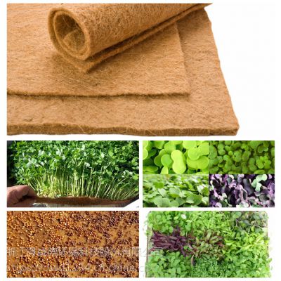 天然黄麻纤维针刺毡草坪种植无土栽培麻毡植被保护 价格 厂家 中国供应商