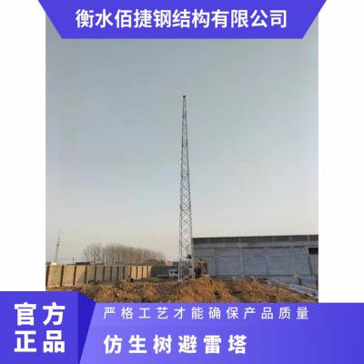 陕西接闪杆塔高层建筑适用售后无忧环形钢管避雷塔