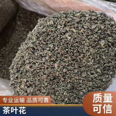 中药材茶叶花地道获证堂 无硫中药材红花草干品代发 厂家批发