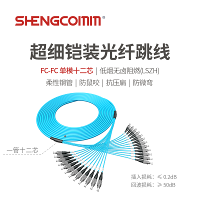 SHENGCOMM盛和 超细柔性铠装 FC-FC 单模12芯光纤跳线 抗拉抗压抗弯曲防鼠咬 LSZH 蓝色 10米