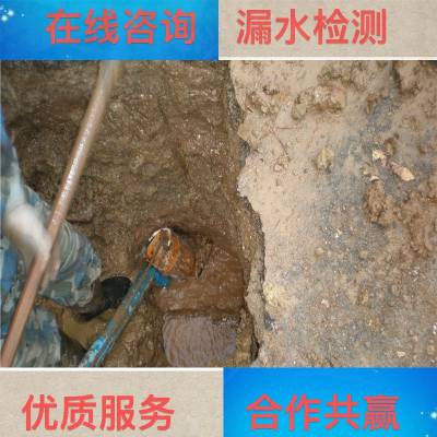 青岛胶南燃气管道漏水点检测实力厂家供应