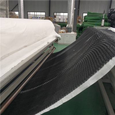 福建宁德市保护隔离地基加固三维复合排水网 hdpe土工复合排水网
