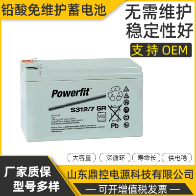 GNBS312/24ǦάPowerfitܱʽ12V24AHUPSϵԴװάѲ