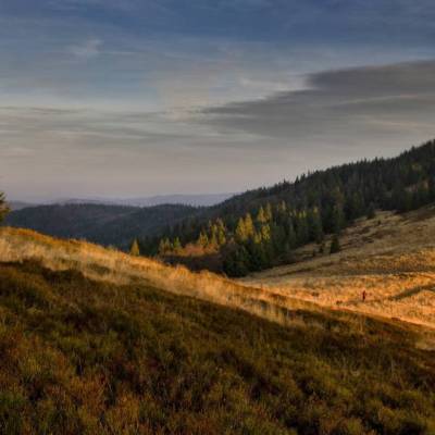 江苏法兰板厂家 304不锈钢法兰盘 耐腐蚀 支持非标加工