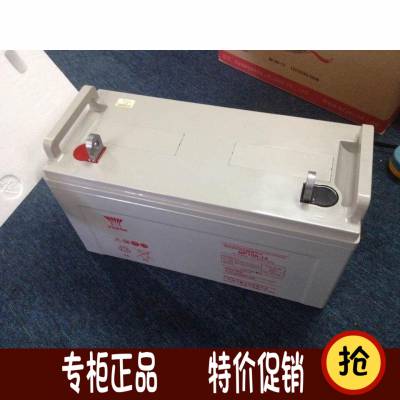 ǳ NP110-12 ǳ 12V110AH Ǧά UPSר