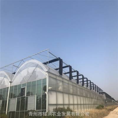 玻璃连栋温室大棚 连栋温室大棚建设价格 连栋温室育苗 连栋温室保温被