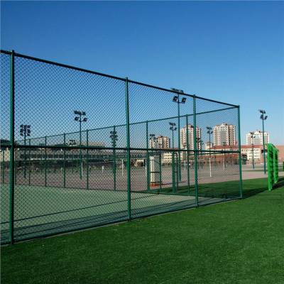桂林全州运动球场围栏网 美观大方体育球场围栏网美观大方