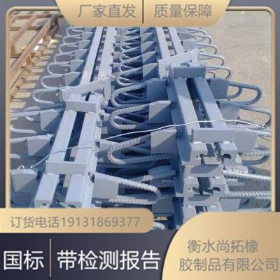 尚拓 现货桥梁伸缩缝 伸缩缝装置 GQF-C型 GQF-E型支持定制