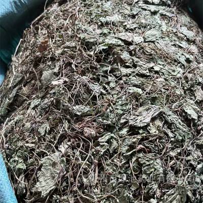 【中药材 青天葵 多少钱一斤 厚池药业 青天葵】价格_厂家-中国供应商