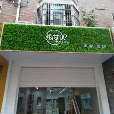 仿真绿植人造塑料带花秧苗草植物墙招牌壁挂遮盖人工绿化背景墙