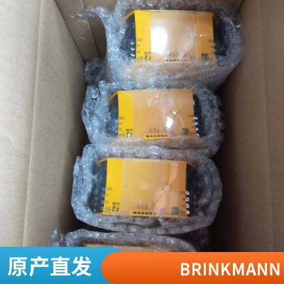 brinkmann TS12/300  001 潜水泵 德国*** 质量***