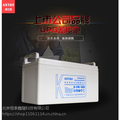 科士达（KSTAR） 12V100AH 铅酸蓄电池 UPS不间断电源 6-FM-100