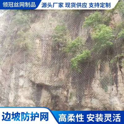 国标SNS柔性边坡防护网_山体抗风化钛克网_GAR1边坡防护网批量供应