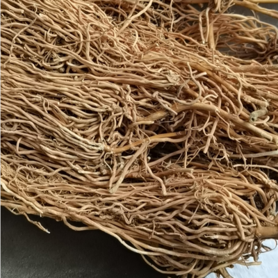 中药材白龙须的药用价值 白龙须批发