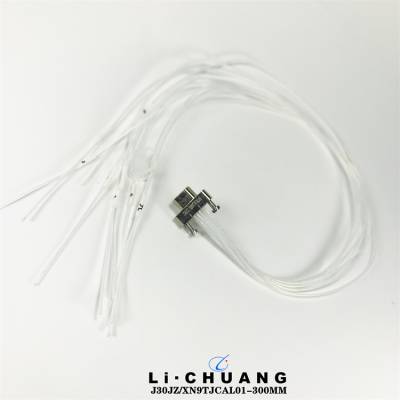 J30JZ/XN9TJCAL01-300MM J30JZLN9ZKWA000 J30JZPN9ZKNA000 ͷ
