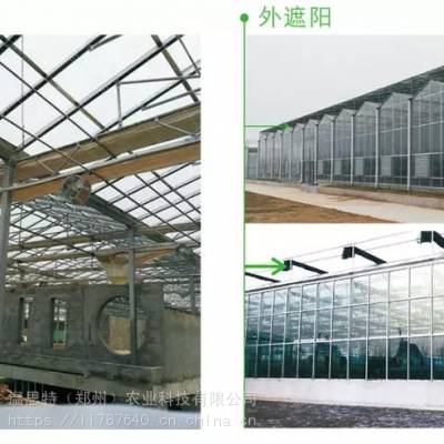 厂家定制智能温室大棚遮阳系统温室大棚 外遮阳传动系统 温室拉幕系统