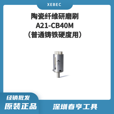 Xebec锐必克 40mm表面研磨刷A21-CB40M 陶瓷纤维刷（白色）