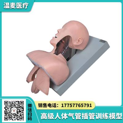 ҽ ҽѧģ ѵ ڱǻṹ Ȳģ