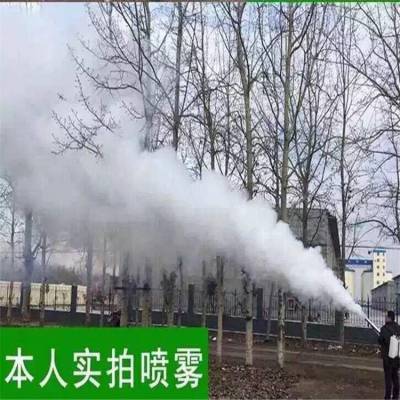 双管充电电启动弥雾机 润丰 全覆盖零死角果园打药机