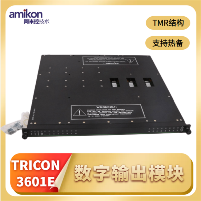 3604E TRICON ESDͣȫϵͳ