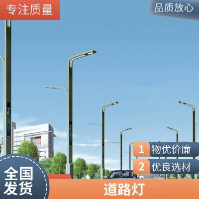 室外照明灯具厂家 景区特色led景观灯 环湖庭院道路灯可定制