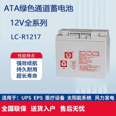 ATA绿色通道蓄电池LC-R1217 12V17AH 铅酸免维护延时机房EPS电源