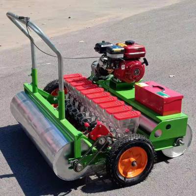 大白菜播机 不用人工撒种 汽油蔬菜播种机