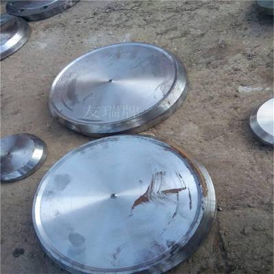 友瑞生产碳钢锻制焊接堵头 合金钢对焊堵头 平焊不锈钢堵头