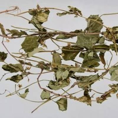 六顺堂 仙人对坐草 二叶人字草 金樱子根 救必应 橘红衣 莲须***