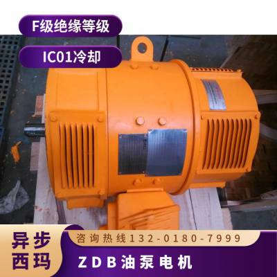 西玛ZDB油泵电机ZDB-41 3KW/5.5KW 220V卧式IM B3 通用锂基润滑脂 并励