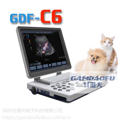 СղɫBGDF-C6ɫBʵоб