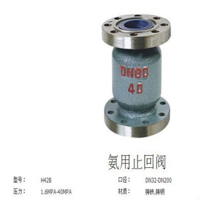 衡阳采购批发商 止回阀专业生产销售H42F(B)-16C DN32各类型号阀门