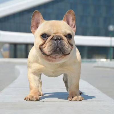 00≥1条任先生030405****09080800查看联系方式微信