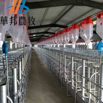 山东华邦专业生产养猪自动化料线设备，赛盘料线