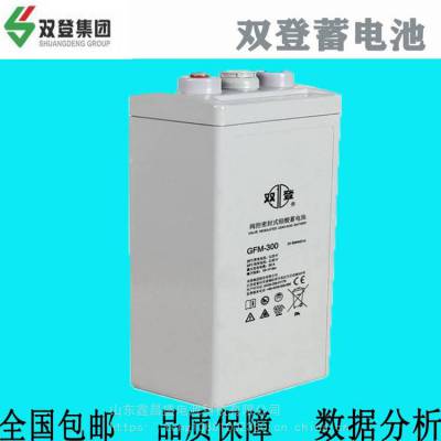 双登蓄电池GFM-300铅酸免维护2V300AH基站机房UPS后备电源