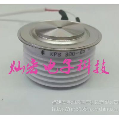WESTCODEɿع/բKP8 300-65
