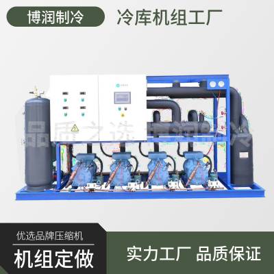 猪肉冻库博泽制冷冷库设备制冷SLD100-25省电