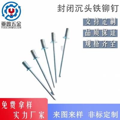 亚鑫封闭型沉头全铁铆钉 盲孔抽芯拉钉 抽芯防水铆钉
