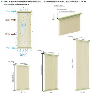 供应天津膜天PVDF材料中空纤维帘式膜MBR组件BT-20