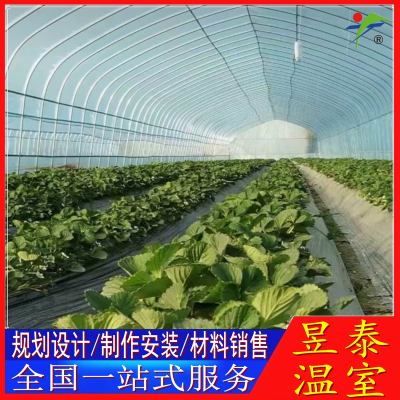 钢架春秋棚冷棚蔬菜种植薄膜大棚昱泰温室材料YTWSCQ1259