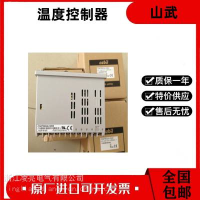 供应山武YAMATAKE R30 302GA000200 温控器 控制器 调节仪