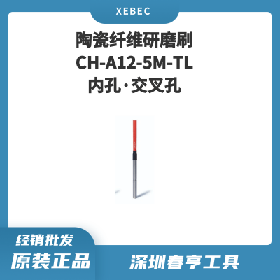 Xebec锐必克 5mm内孔·交叉孔研磨刷 CH-A12-5M-TL 陶瓷纤维刷（红色）