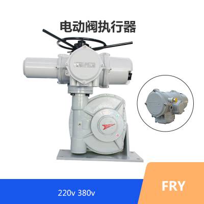 FRYJII5 FRYJII10 FRYJII20 FRYJII30 电动执行器专卖